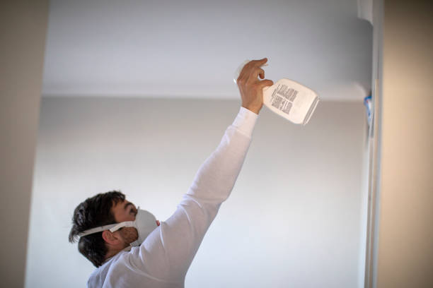 Mold Testing and Removal in Biltmore Forest, NC