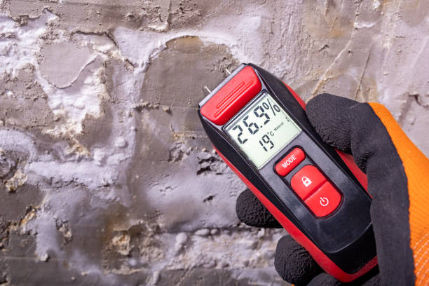 Best Crawl Space Mold Removal  in Biltmore Forest, NC