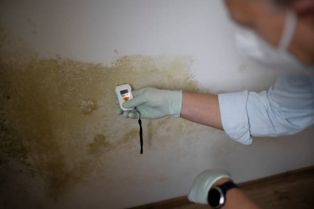 Best Mold Testing  in Biltmore Forest, NC