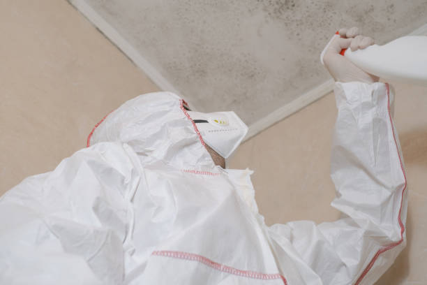 Best Residential Mold Removal  in Biltmore Forest, NC